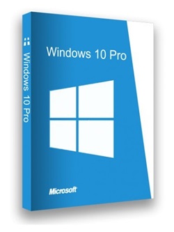 Windows 10 X64 22H2 Pro 3in1 OEM ESD en-US AUG 2022 {Gen2} torrent